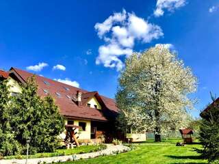 Отели типа «постель и завтрак» Casa Galbena Arbore-0